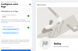 Choisir une catégorie pour sa page facebook