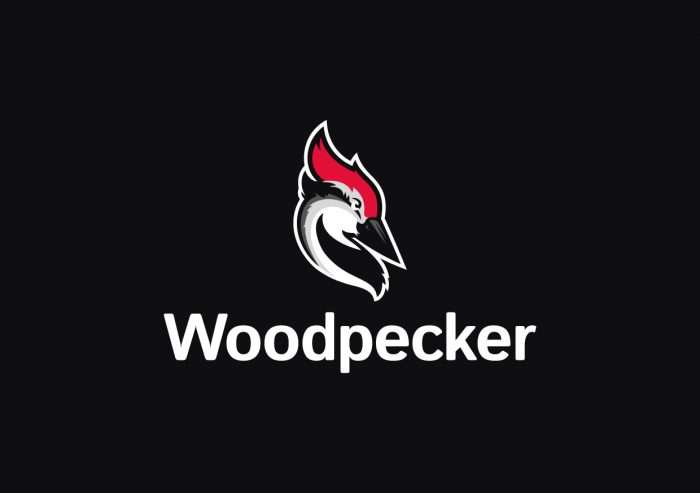 logo woodpecker.co