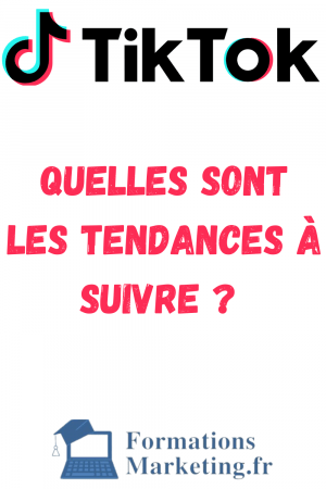 Quelles-sont-les-tendances-TikTok-a-suivre-
