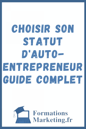 Choisir-son-Statut-dAuto-Entrepreneur-Guide-complet