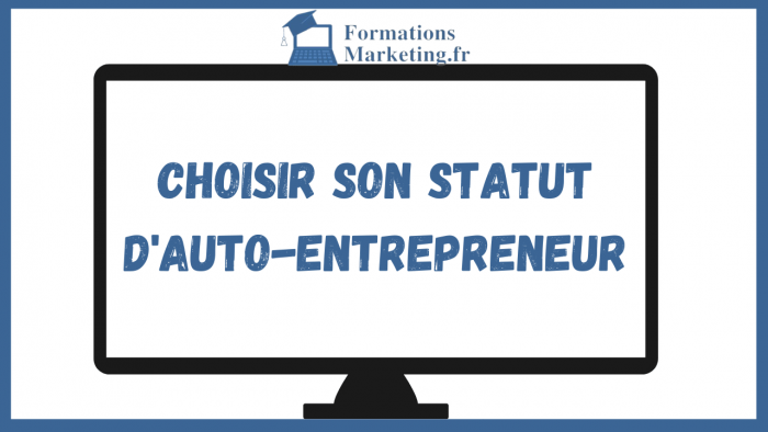 Choisir son Statut d'Auto-Entrepreneur : Guide complet