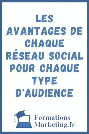 Les-Avantages-De-Chaque-Reseau-Social-Pour-Chaque-Type-DAudience