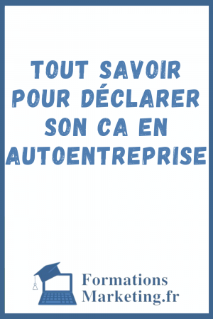 Tout-savoir-pour-Declarer-son-CA-en-Autoentreprise