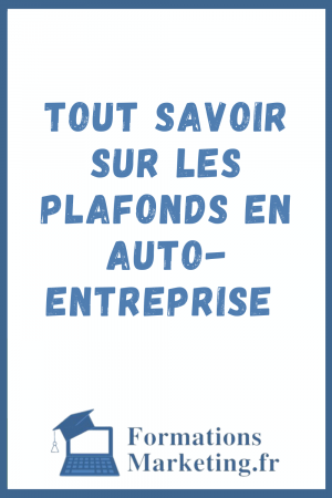 Tout-savoir-sur-les-Plafonds-en-Auto-Entreprise-1-1