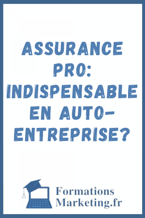 Assurance-Pro-Indispensable-en-Auto-Entreprise