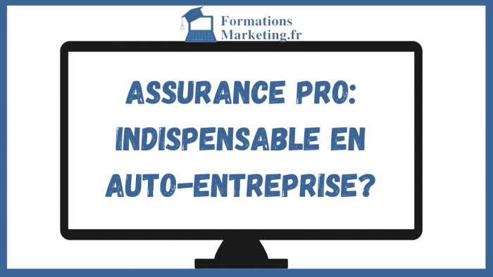 Assurance Pro: Indispensable en Auto-Entreprise?