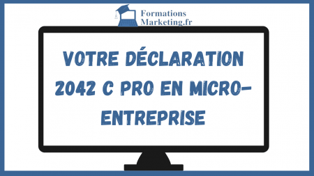 votre-Declaration-2042-C-Pro-en-Micro-entreprise