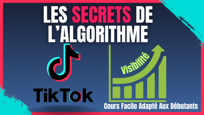De zero a viral comprendre lalgorithme TikTok simplement De Zéro à VIRAL : Comprendre L'ALGORITHME TIKTOK En Étant Débutant