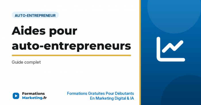 Aides pour auto-entrepreneurs : Guide complet - formationsmarketing.fr