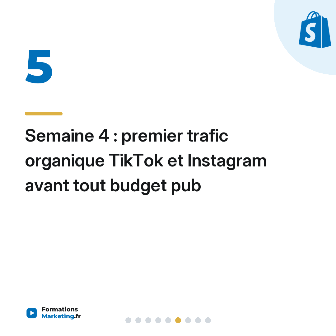 Semaine 4 : premier trafic organique TikTok et Instagram avant tout budget pub