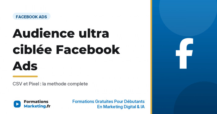 audience ultra ciblee vignette Audience ultra ciblee Facebook Ads : CSV et Pixel - formationsmarketing.fr