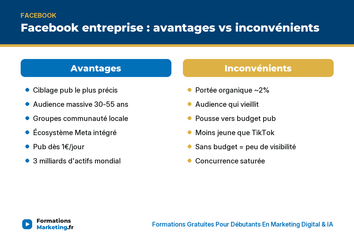 Facebook entreprise avantages vs inconvénients : ciblage, audience, groupes vs portée, vieillissement, budget pub - formationsmarketing.fr