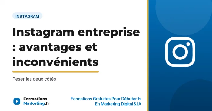 Instagram entreprise : avantages et inconvénients - formationsmarketing.fr