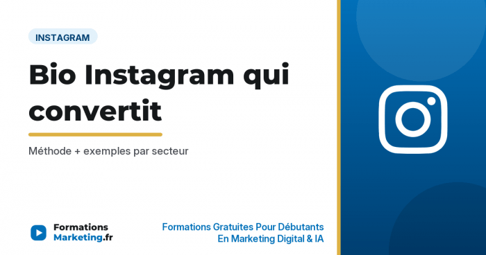 Idées de bio Instagram : exemples par secteur et méthode - formationsmarketing.fr