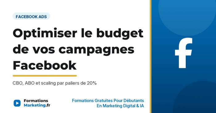 Optimiser le budget de vos campagnes Facebook, CBO ABO et scaling - formationsmarketing.fr