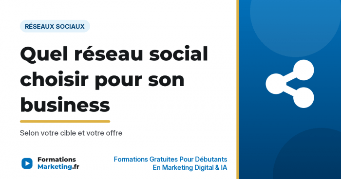 Quel réseau social choisir pour son business : Selon votre cible et votre offre - formationsmarketing.fr