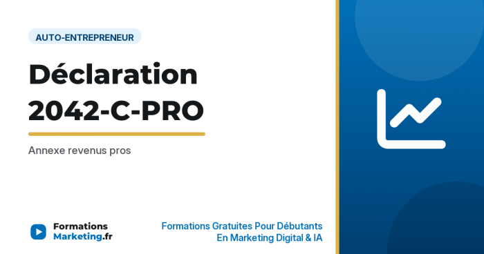 Déclaration 2042-C-PRO : Annexe revenus pros - formationsmarketing.fr