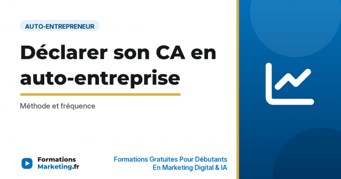 Déclarer son CA en auto-entreprise : Méthode et fréquence - formationsmarketing.fr