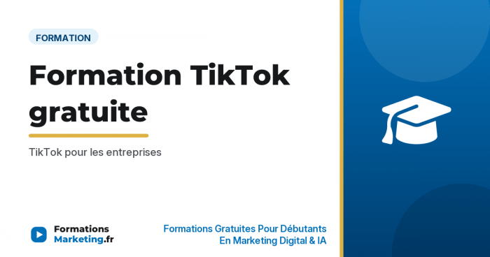 Formation TikTok gratuite : TikTok pour les entreprises - formationsmarketing.fr