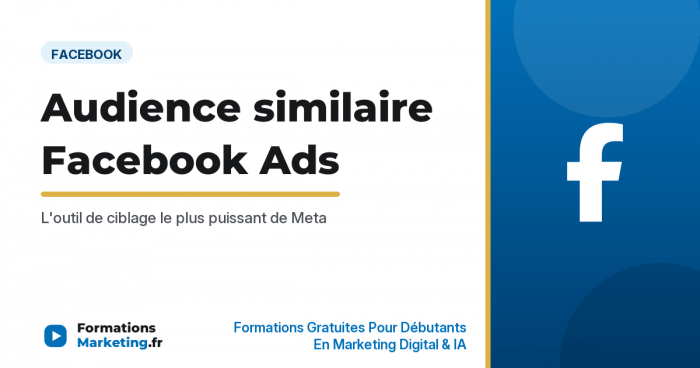 Audience similaire Facebook Ads : la lookalike parfaite - formationsmarketing.fr