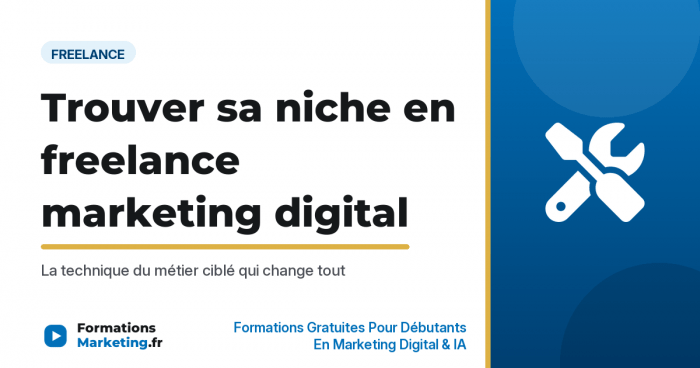 niche freelance vignette Comment trouver sa niche en freelance marketing digital - formationsmarketing.fr