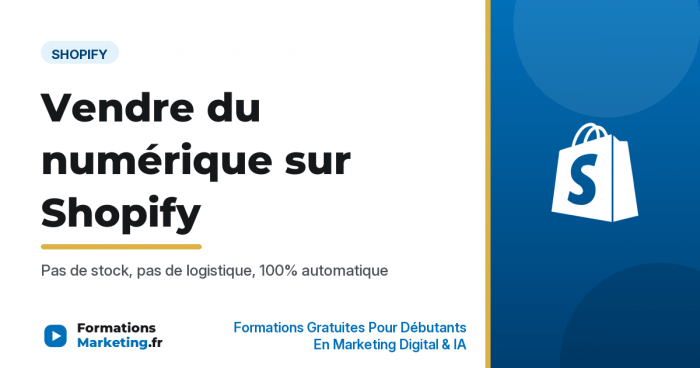 Vendre des produits numériques sur Shopify, pas de stock pas de logistique - formationsmarketing.fr