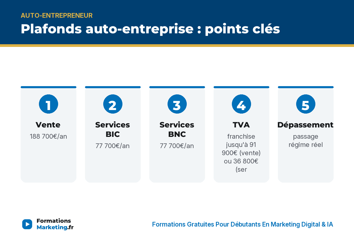 Plafonds auto-entreprise : points clés - formationsmarketing.fr