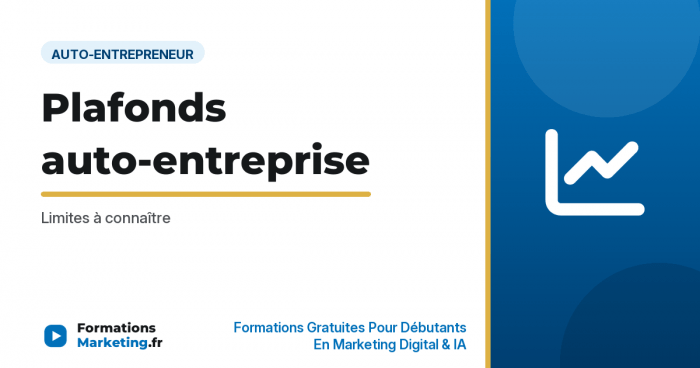 Plafonds auto-entreprise : Limites à connaître - formationsmarketing.fr