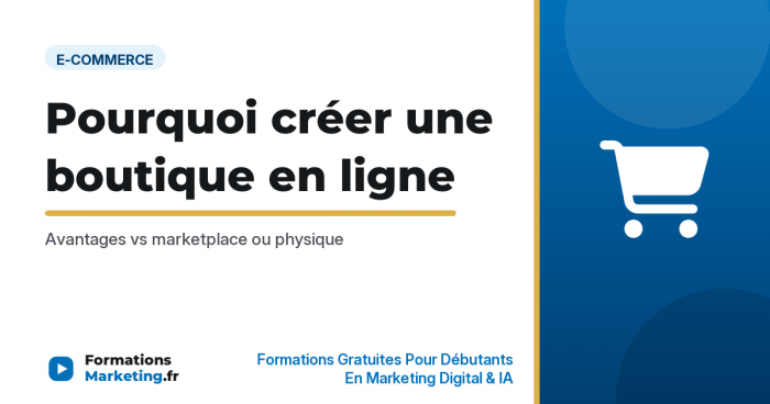 Pourquoi créer une boutique en ligne : Avantages vs marketplace ou physique - formationsmarketing.fr