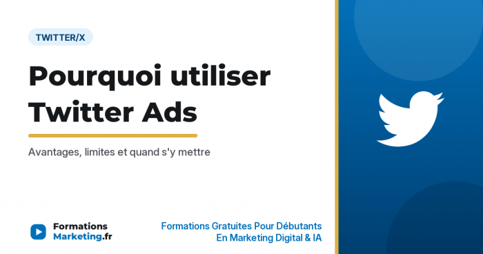 pourquoi utiliser twitter ads vignette Pourquoi utiliser Twitter Ads, avantages et limites - formationsmarketing.fr