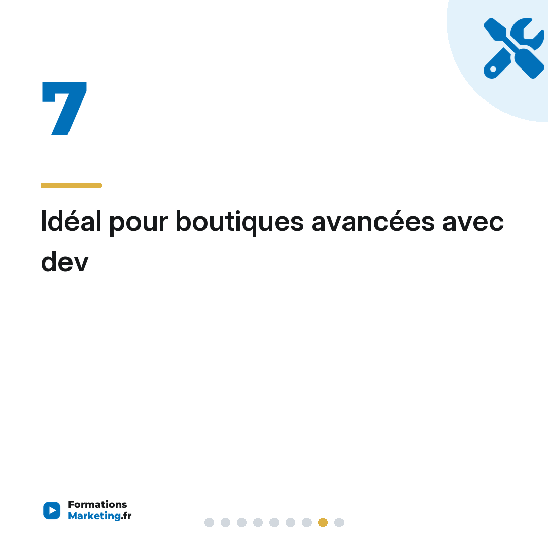 Idéal pour boutiques avancées avec dev