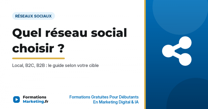 Quel réseau social choisir pour son entreprise, guide complet - formationsmarketing.fr