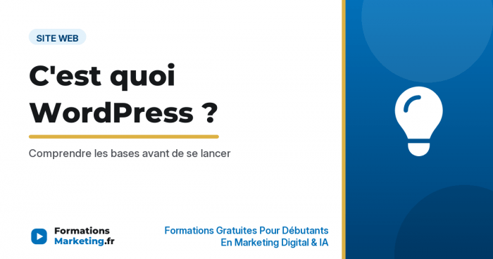 quest ce que wordpress vignette C'est quoi WordPress, comprendre les bases avant de se lancer - formationsmarketing.fr