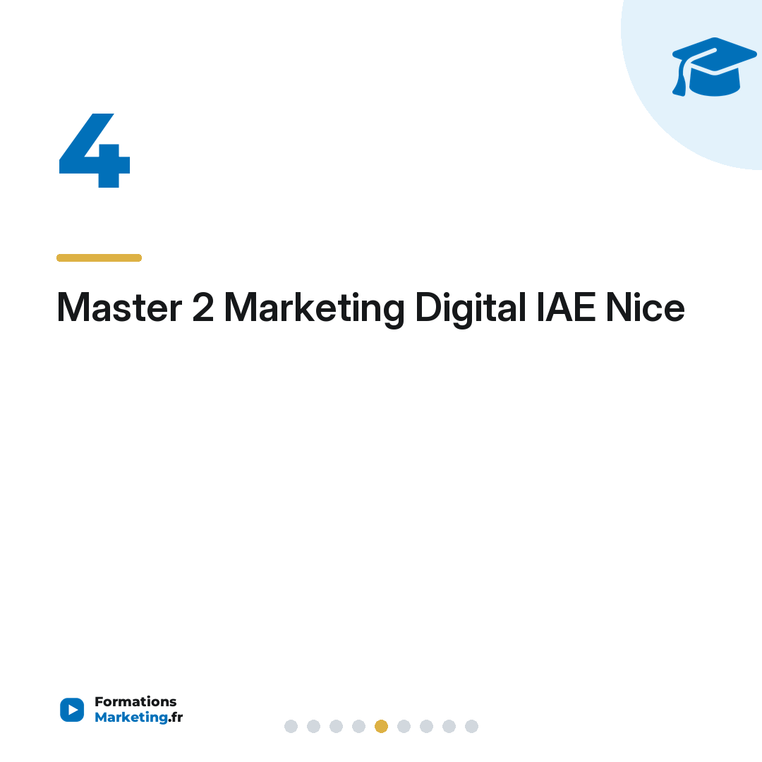 Master 2 Marketing Digital IAE Nice