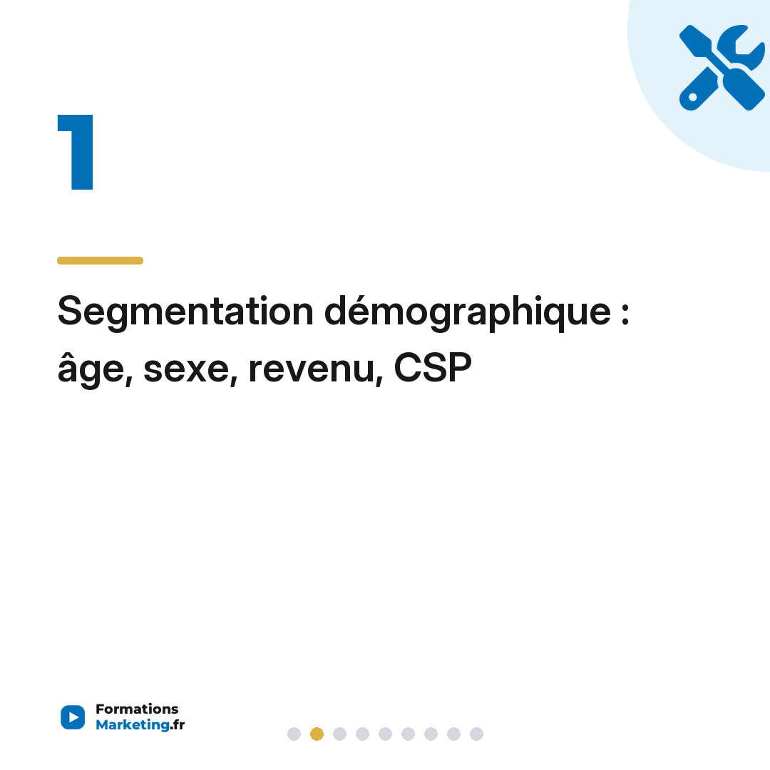 Segmentation démographique : âge, sexe, revenu, CSP