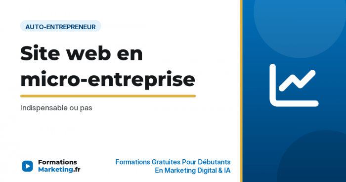 site me vignette Site web en micro-entreprise : Indispensable ou pas - formationsmarketing.fr