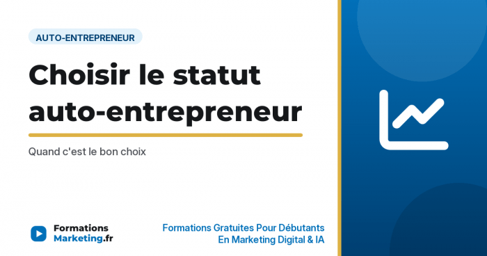Choisir le statut auto-entrepreneur : Quand c'est le bon choix - formationsmarketing.fr