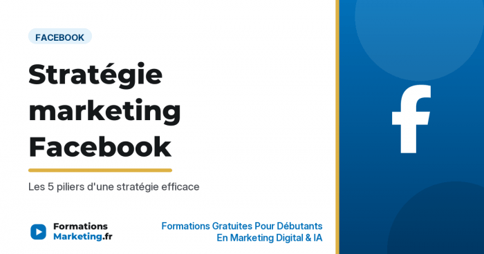 Stratégie marketing Facebook : les 5 piliers d'une stratégie efficace - formationsmarketing.fr