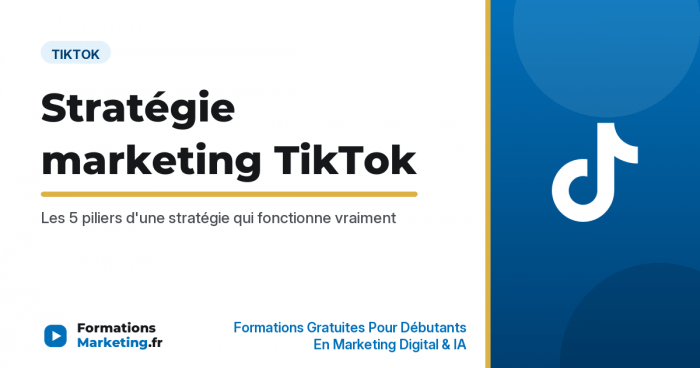 Stratégie marketing TikTok : les 5 piliers d'une stratégie qui fonctionne - formationsmarketing.fr