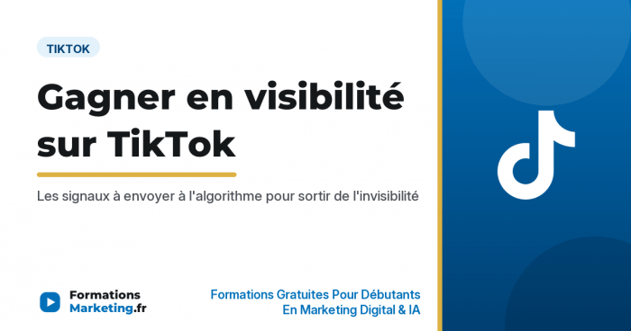 Comment gagner en visibilité sur TikTok, les signaux à envoyer à l'algorithme - formationsmarketing.fr